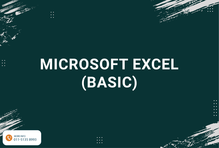 Microsoft Excel (Basic)